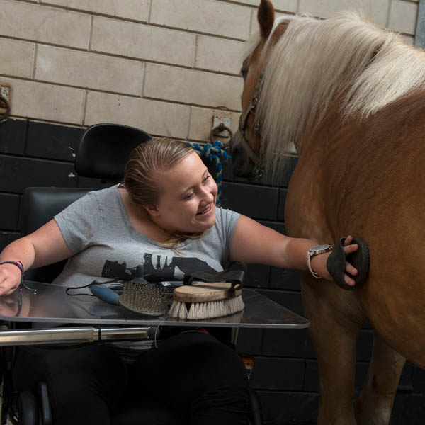 Vrouw in rolstoel borstelt paard